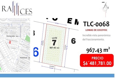 Morelos, ,Terreno,For Sale,1083